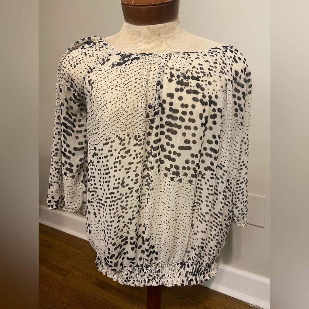 Sheer Blouse